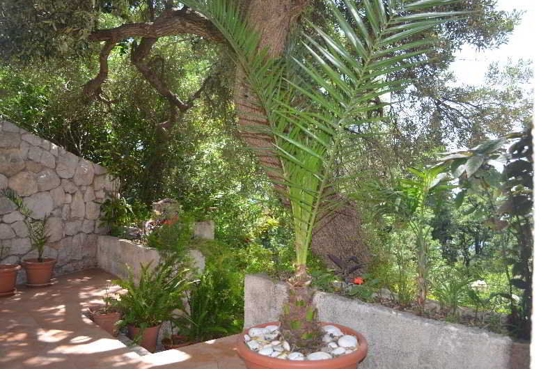Apartments Martiva Dubrovnik Dış mekan fotoğraf