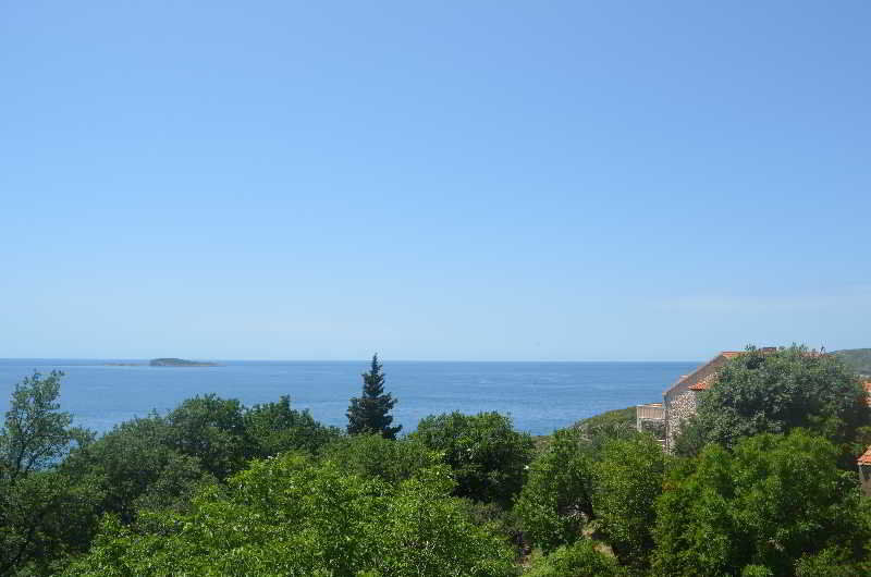 Apartments Martiva Dubrovnik Dış mekan fotoğraf