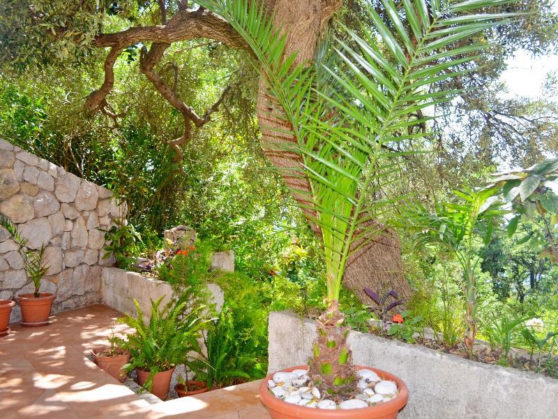 Apartments Martiva Dubrovnik Dış mekan fotoğraf